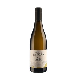 Côte Chalonnaise Bourgogne Blanc Ostrea 2021 - Château de Rougeon