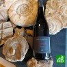 Saumur - rouge - 2022 - bio - domaine des Sablonnières