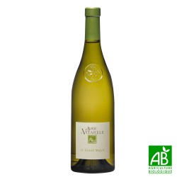 AOP Languedoc Blanc Le Grand Mayol 2020 - Domaine Borie La Vitarèle - bio