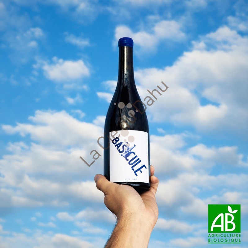 Vin de France Bascule rouge 2024, bio, Domaine Bargemone