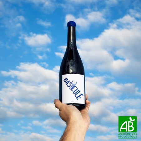 Vin de France Bascule rouge 2024, bio, Domaine Bargemone