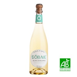 Sobaie Kombucha de vigneron, Baie de raisin blanc, bio, 75 cl