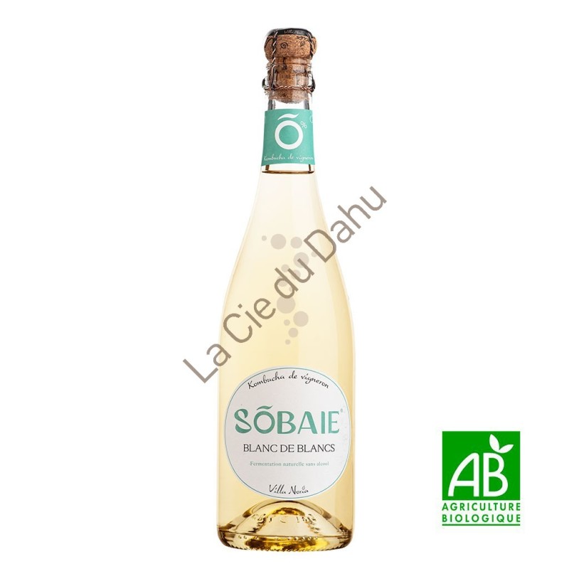 Sobaie Kombucha de vigneron, Baie de raisin blanc, bio, 75 cl