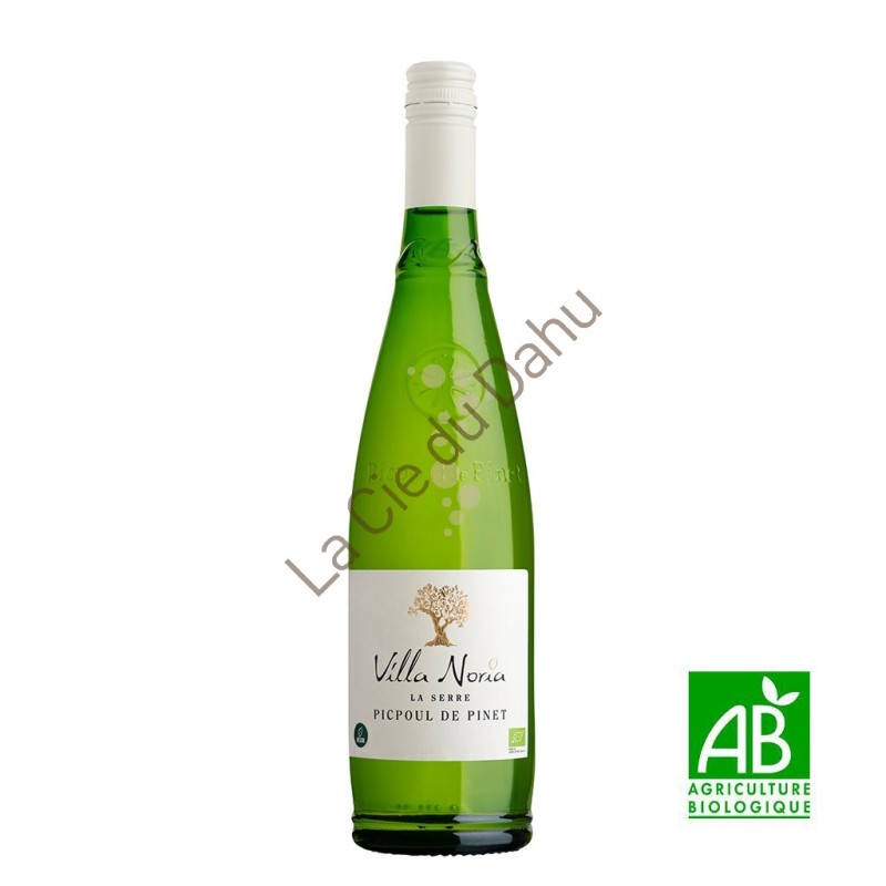 AOC Picpoul de Pinet La Serre 2025, blanc, Bio, Domaine Villa Noria