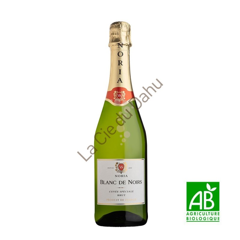 Vin Mousseux, "Noria brut 2024, Blancs de Noirs, 8,5% , bio, Domaine Villa Noria